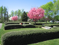 grounds4.jpg